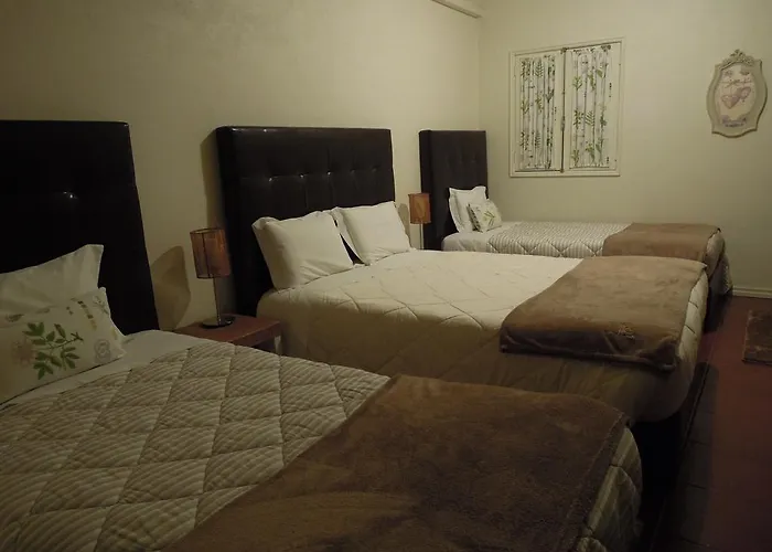 Ester Гостевой дом Шавиш